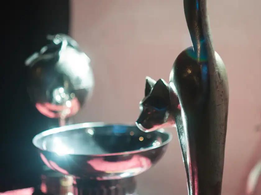 Smoking Cat World Series 2015 trofeje