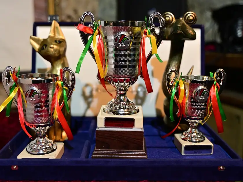 Fiesta Praga Olé! 2025 (National Tour) - trofeje