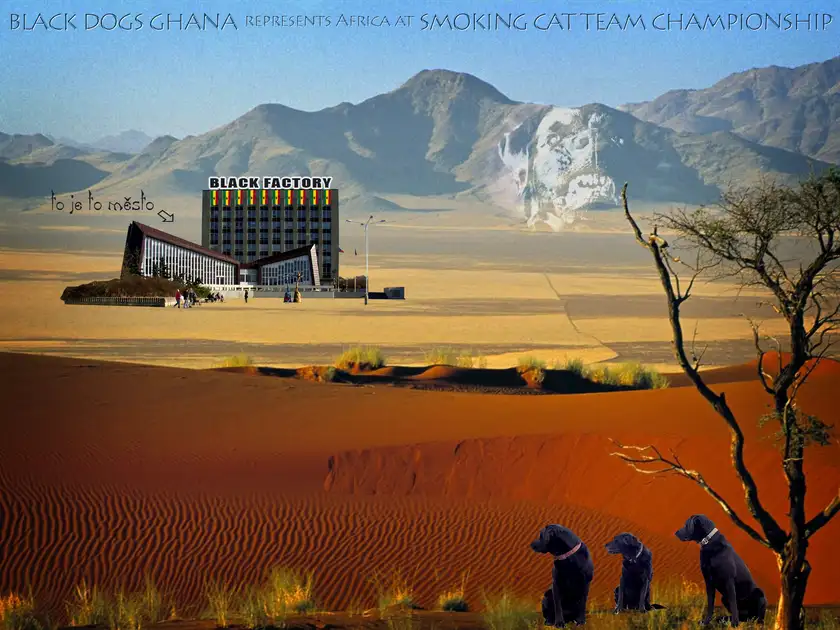 Black Dogs Ghana, Team Championship 2014