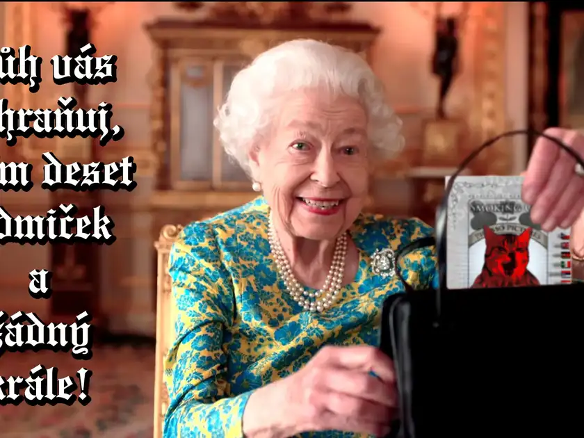 Fotografie 13 z 45