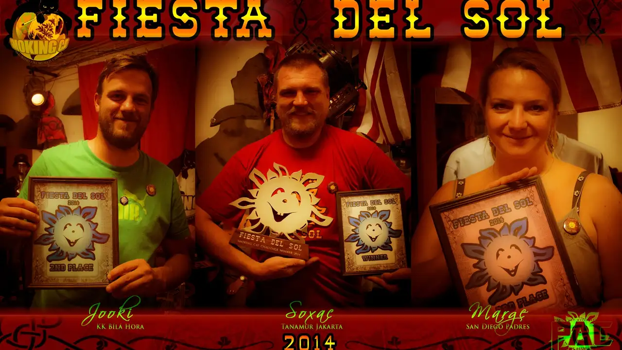 SOXAC, JOOKI, MARGE, Fiesta del Sol 2014